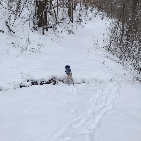 Meet your Posher, Selah - Picture 4 of 12